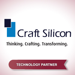 Craft-Silicon